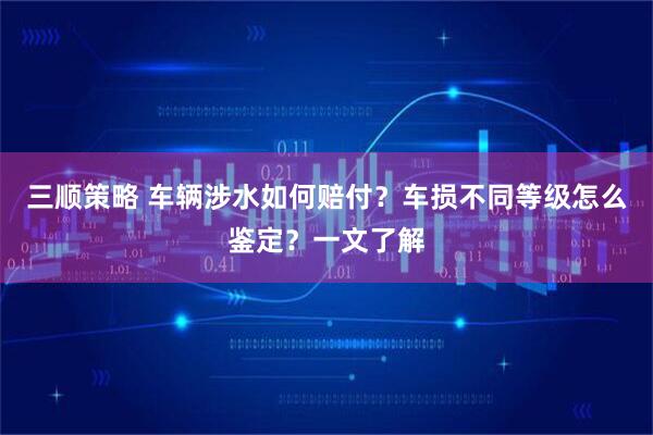三顺策略 车辆涉水如何赔付？车损不同等级怎么鉴定？一文了解
