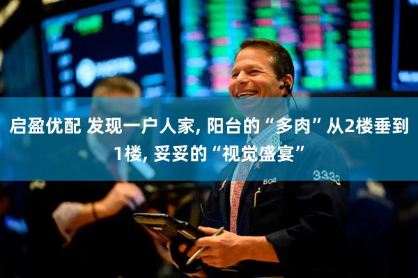 启盈优配 发现一户人家, 阳台的“多肉”从2楼垂到1楼, 妥妥的“视觉盛宴”